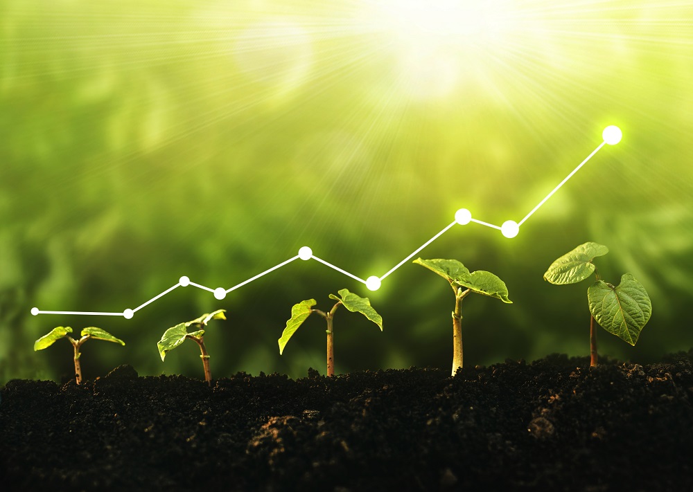 Green-finance_resized-(1).jpg